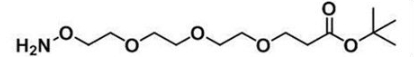 CAS:1835759-72-2；氨氧基-三聚乙二醇-叔丁酯；Amineoxy-PEG3-t-butyl ester