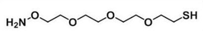 CAS:1200365-63-4；氨氧基-三聚乙二醇-硫醇盐酸盐；Amineoxy-PEG3-thiol HCl salt