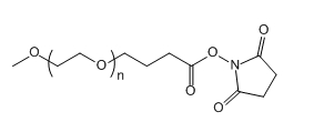 mPEG-SBA；甲氧基聚乙二醇-丁酸琥珀酰亚胺酯；mPEG-Succinimidyl Butanoate