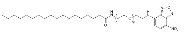 STA-PEG-NBD 单硬脂酸-聚乙二醇-硝基苯恶二唑