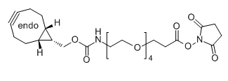 BCN-endo-PEG4-SPA的介绍