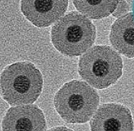 水溶性上转换纳米颗粒/UCNPS纳米粒808激发