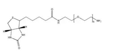    氨基PEG生物素 
