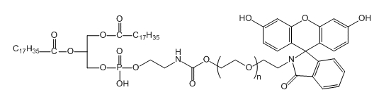 DSPE-PEG-FITC；二硬脂酰基磷脂酰乙醇胺-聚乙二醇-荧光素