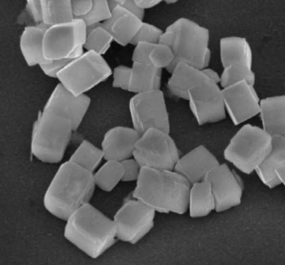 氨基修饰上转换纳米颗粒 PEG-NH2修饰上转换发光纳米颗粒