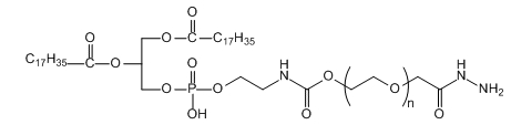 DSPE-PEG-HZ；DSPE-PEG-Hydrazide；二硬脂酰基磷脂酰乙醇胺-聚乙二醇-酰肼