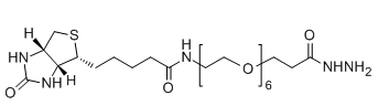 Biotin-PEG6-Hydrazide；Biotin-PEG6-HZ；分子式：C25H47N5O9S