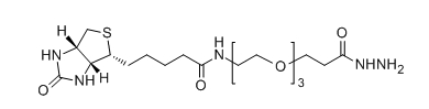 CAS：1381861-94-4；Biotin-PEG3-HZ；Biotin-PEG3-Hydrazide