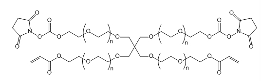 4-ArmPEG-(2AC-2NHS)；4-ArmPEG-(2Acrylate-2NHS)