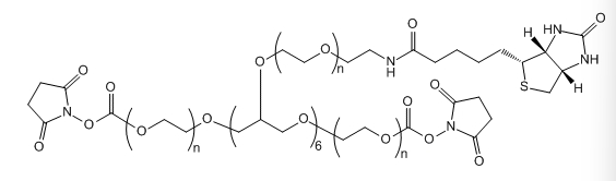 8-ArmPEG-(2ARM-NHS,6ARM-Biotin)；应用于医学研究