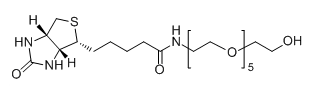 CAS No.：906099-89-6，Biotin-PEG6-OH的基本信息