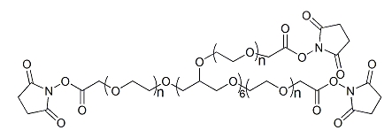 8-ArmPEG-SCM；八臂聚乙二醇琥珀酰亚胺羧甲基酯