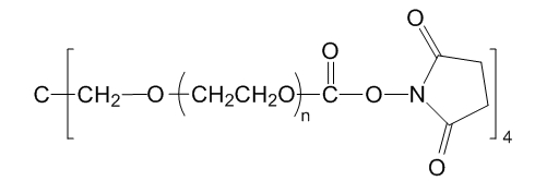 4-ArmPEG-SC；4-ArmPEG-NHS；四臂聚乙二醇琥珀酰亚胺酯