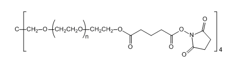 4-ArmPEG-SG；四臂聚乙二醇琥珀酰亚胺戊二酸酯