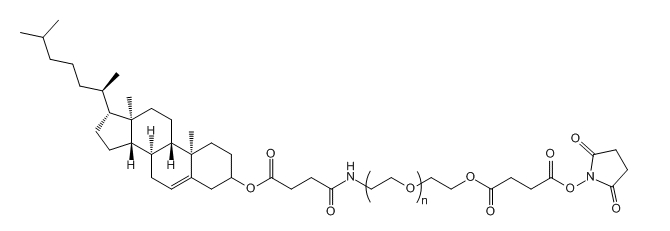CLS-PEG-SS；Cholesterol-PEG-Succinimidyl Succinate ester