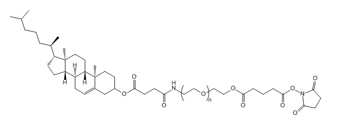 CLS-PEG-SG；Cholesterol-PEG-Succinimidyl Glutarate ester