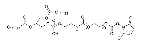 DLPE-PEG-SC；1,2-二月桂酰磷脂酰乙醇胺-聚乙二醇-活性酯
