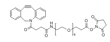CAS： 1427004-19-0；DBCO-PEG4-SPA；氮杂二苯并环辛炔-四聚乙二醇-活性酯