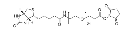 CAS：365441-71-0；Biotin-PEG24-SPA；Biotin-PEG24-NHS