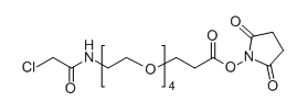 CAS ：1353011-95-6；Cl-NH-PEG4-NHS；分子式：  C17H27ClN2O9