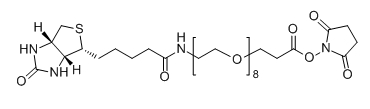 CAS：2143968-03-8；Biotin-PEG8-SPA；Biotin-PEG8-NHS