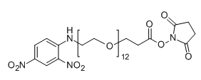 CAS： 1334178-01-6；DNP-PEG12-NHS；分子式：  C37H60N4O20
