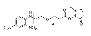 CAS： 858126-78-0；DNP-PEG4-NHS；分子式：  C21H28N4O12
