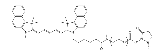 Cy5.5-PEG-SC；花青素Cy5.5-聚乙二醇-琥珀酰亚胺碳酸酯