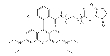RB-PEG-SC；RB-PEG-SC；罗丹明B-聚乙二醇-琥珀酰亚胺碳酸酯