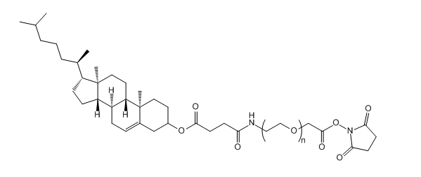 Cholesterol-PEG-Succinimidyl Carboxymethyl Ester；CLS-PEG-SCM 