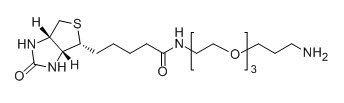 CAS No.：1374658-86-2；Biotin-PEG3-CH2CH2CH2NH2
