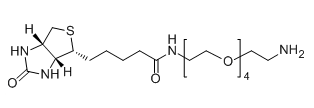 CAS No.：663171-32-2；Biotin-PEG4-NH2应用于医学研究