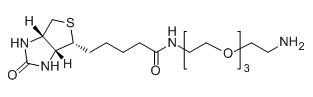 Biotin-PEG3-NH2；359860-27-8；生物素-三聚乙二醇-氨基
