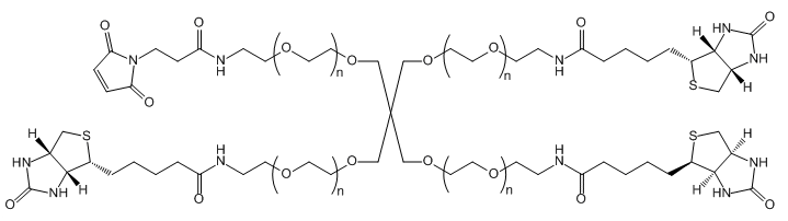 4-ArmPEG-(3Biotin-1Mal)应用于医学研究