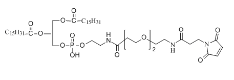 DPPE-PEG2-NH-Mal应用于医学研究