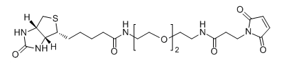 CAS No.：  305372-39-8；Biotin-PEG2-NH-Mal应用于医学研究
