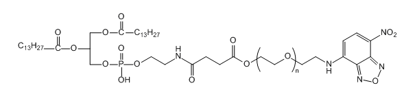 DMPE-PEG-NBD；1,2-十四酰基磷脂酰乙醇胺-聚乙二醇-硝基苯恶二唑