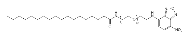 STA-PEG-NBD；单硬脂酸-聚乙二醇-硝基苯恶二唑；Stearic acid-PEG-Nitrobenzofurazan