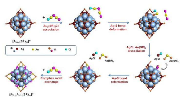 [Ag44(SR)30]4-纳米团簇的表面保护模体交换反应示意图