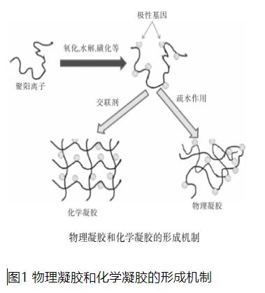   图1 物理凝胶和化学凝胶的形成机制    