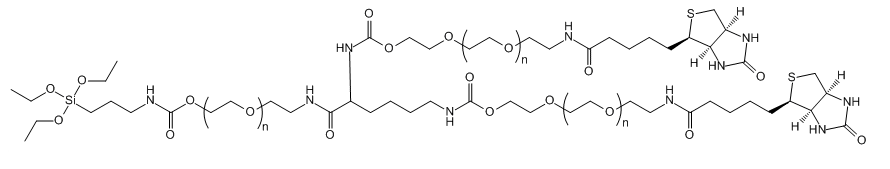 3-ArmPEG-(1Silane-2Biotin)应用于医学研究