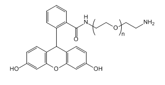 NH2-PEG-FAM；Amine-PEG-FAM应用于医学研究