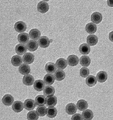 水溶性上转换纳米颗粒（激发980nm 发射：540nm）
