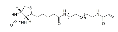 Biotin-PEG-ACA；Biotin-PEG-Acrylamide；生物素-聚乙二醇-丙烯酰胺