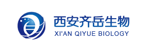 GSH响应的介孔二氧化硅载DOX-PEG-FITC