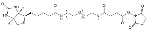 Biotin-PEG-SAS；生物素-聚乙二醇-琥珀酰胺琥珀酰亚胺酯
