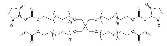 4-ArmPEG-(2AC-2NHS);4-ArmPEG-(2Acrylate-2NHS)