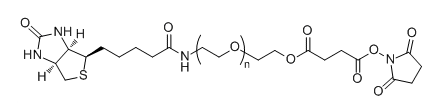 Biotin-PEG-SS；Biotin-PEG-Succinimidyl Succinate ester