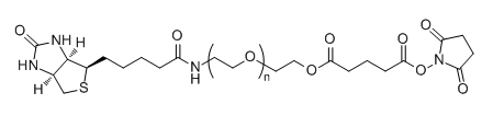Biotin-PEG-SG；Biotin-PEG-Succinimidyl Glutarate ester的信息