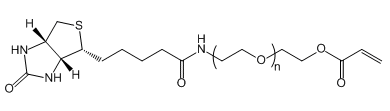 Biotin-PEG-AC；生物素-聚乙二醇-丙烯酸酯；Biotin-PEG-Acrylate